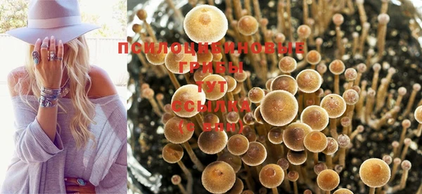 а пвп мука Краснослободск