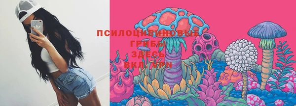 прущие крисы Белокуриха