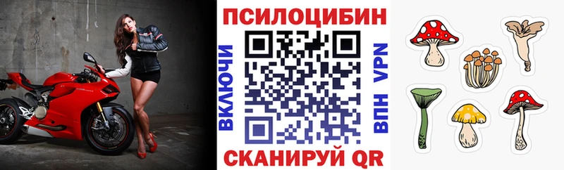 закладка  Гулькевичи  OMG маркетплейс  Псилоцибиновые грибы ЛСД 
