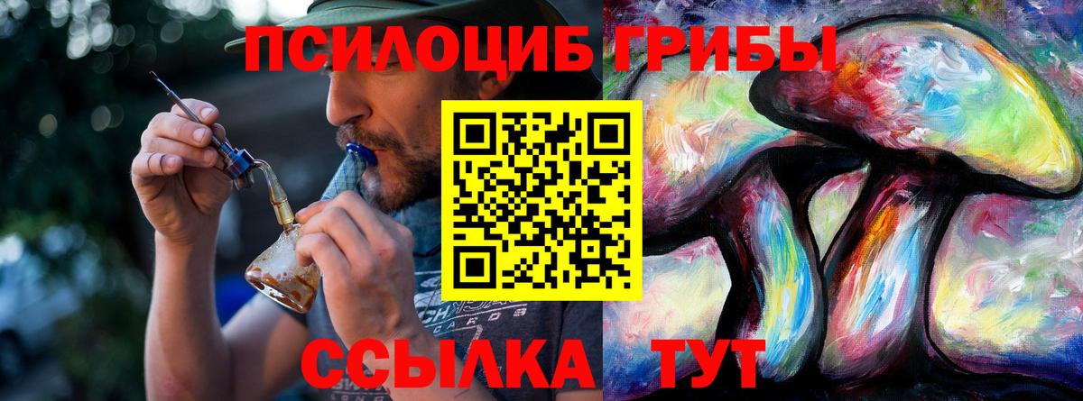 Гулькевичи  Галлюциногенные грибы Cubensis  Вход с VPN 