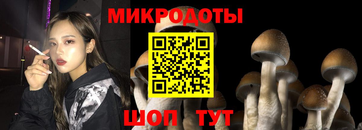 Псилоцибиновые грибы MAGIC MUSHROOMS Гулькевичи